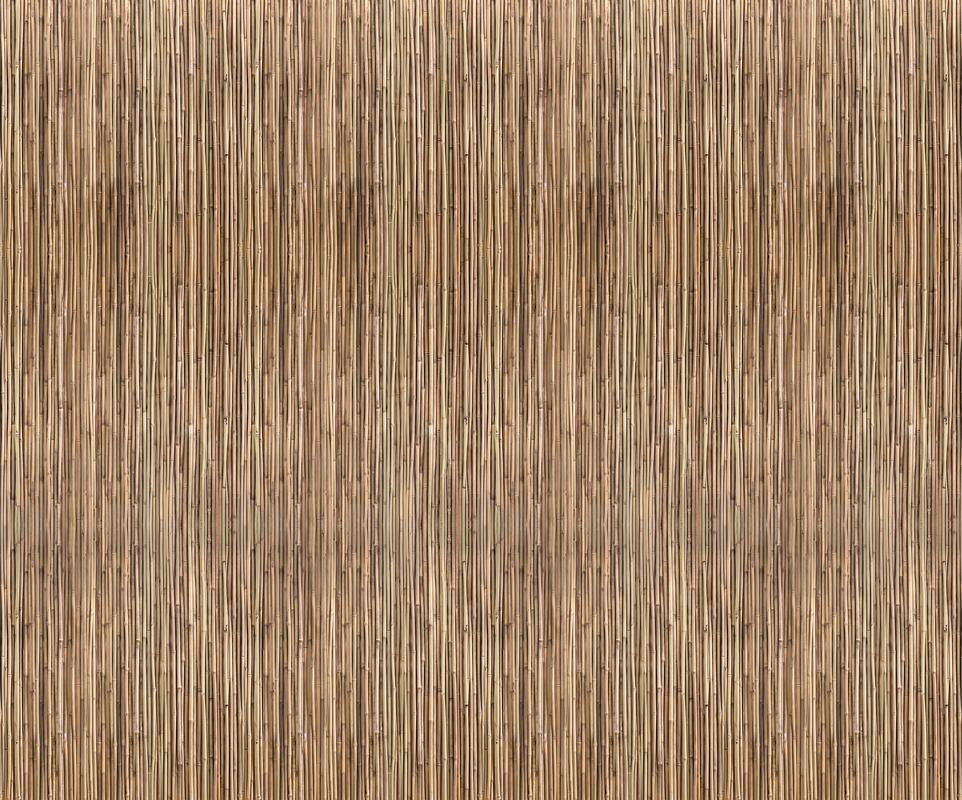 bamboo wallpaper